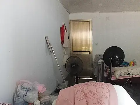 RebelAura webcam
