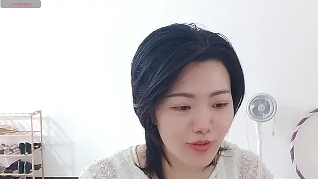 Nikishine webcam