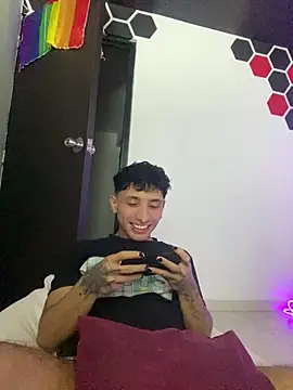 pol_mood webcam