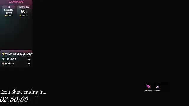 ES5EX webcam