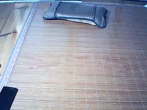 Deptraidatinh webcam