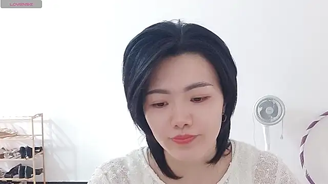Nikishine webcam