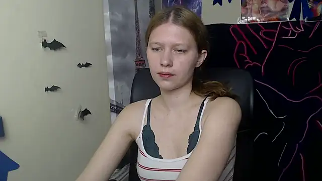 StellaCRL webcam