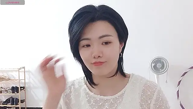 Nikishine webcam