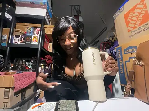 wynterheat webcam