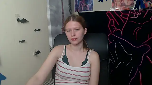 StellaCRL webcam