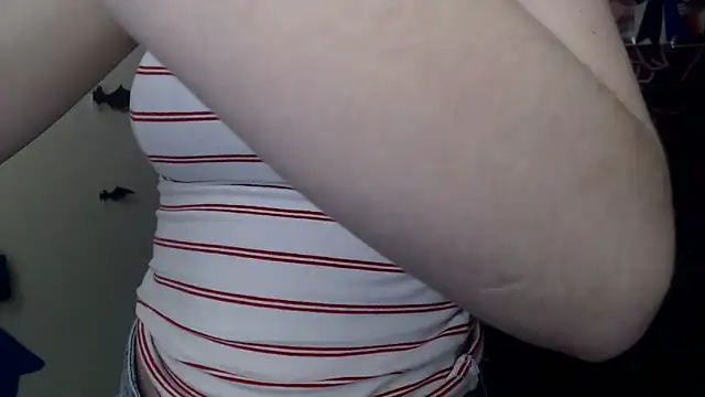 StellaCRL webcam
