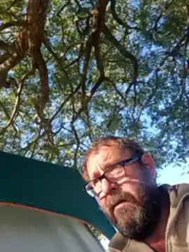 TryingWind webcam