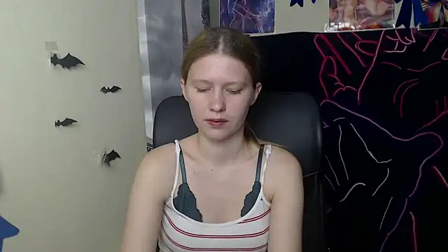 StellaCRL webcam