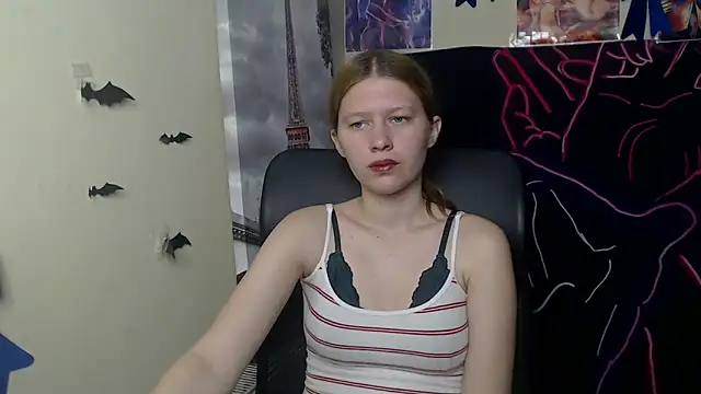 StellaCRL webcam