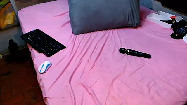 DidyBerry webcam