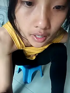 Hoa-tuylip