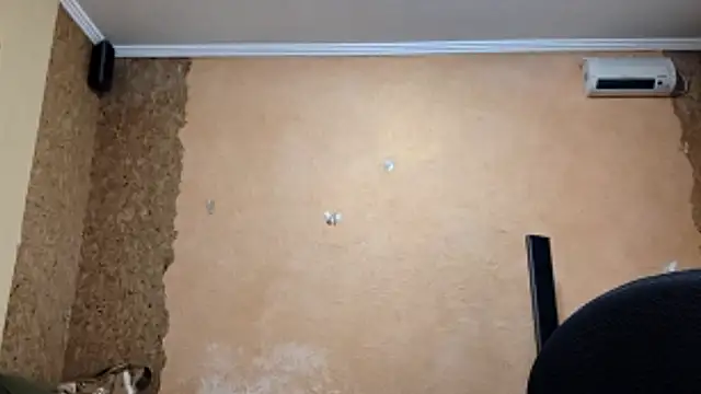 KateVibe_01 webcam