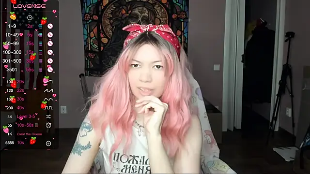 Project_hisoka webcam