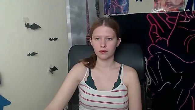 StellaCRL webcam