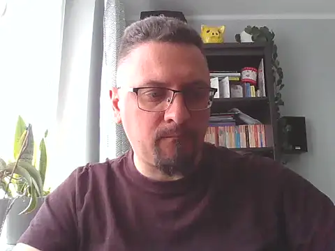 19cmSlave webcam