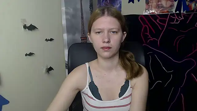 StellaCRL webcam