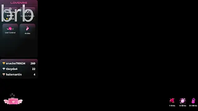 AnisLane webcam