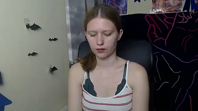 StellaCRL webcam