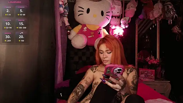 MelodyPrive webcam