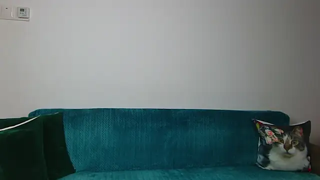 SaraDaisy webcam