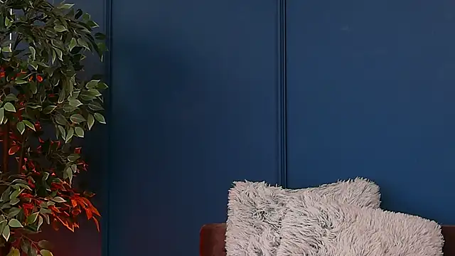 DeeaVIP webcam