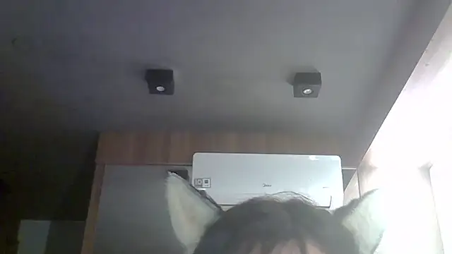 Preview of skinnykitten