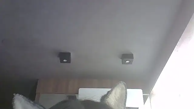 SkinnyKitten webcam