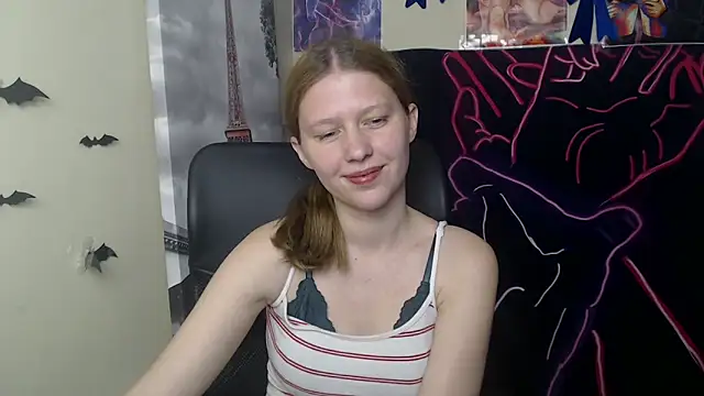 StellaCRL webcam