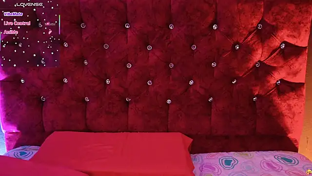 Cony_l webcam