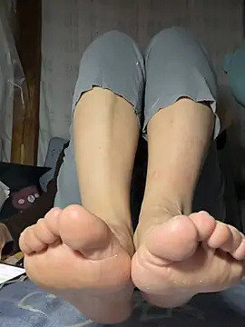 daaqnn webcam