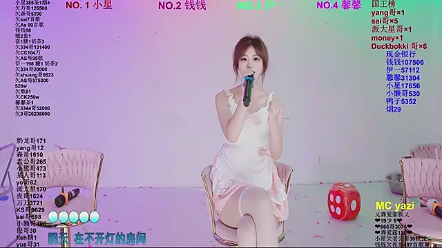ZZ00033S webcam