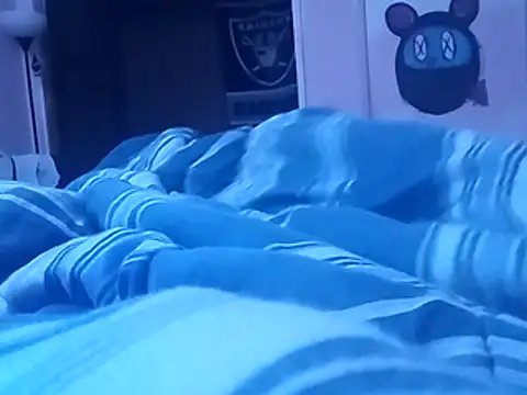 Blkstylion webcam