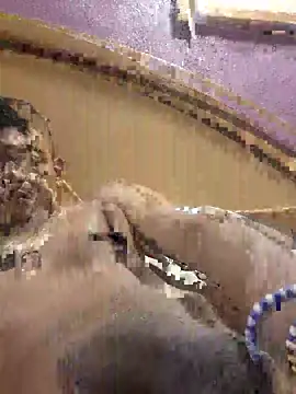 thegirlhot34 webcam