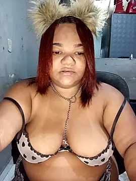 Meellcarioca