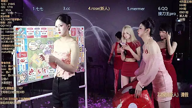 SK010 webcam