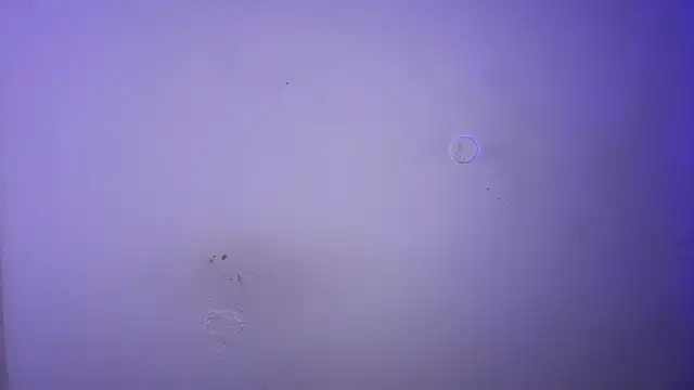 MarlysZlotnick webcam