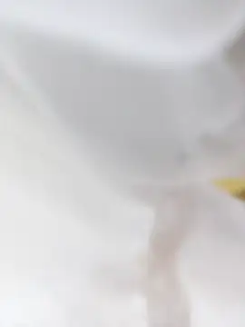 taniya0