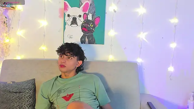 lua_boy webcam