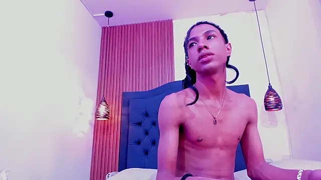 Johan_gz_ webcam