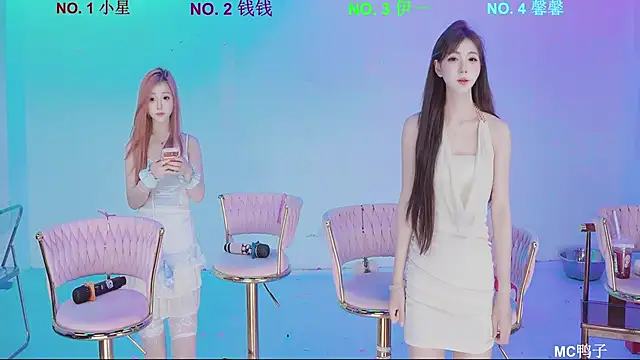 ZZ00033S webcam