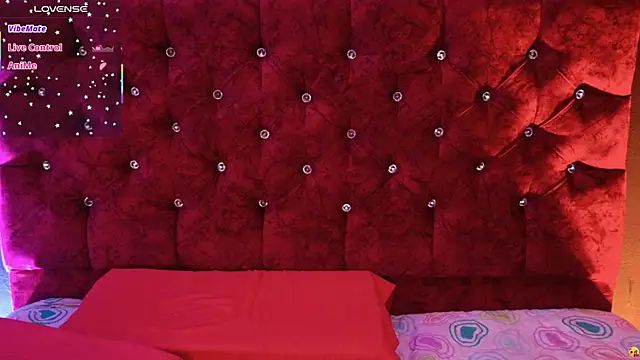 Cony_l webcam