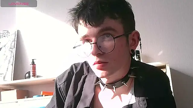 Ernest_ice webcam