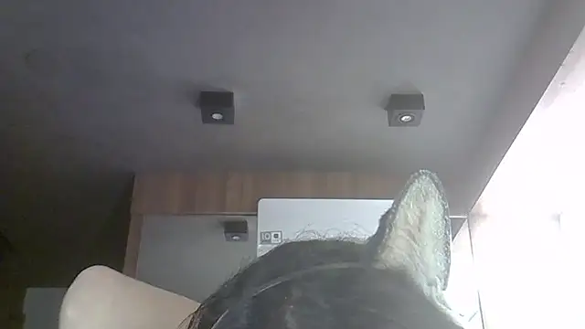 SkinnyKitten webcam