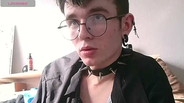 Ernest_ice webcam