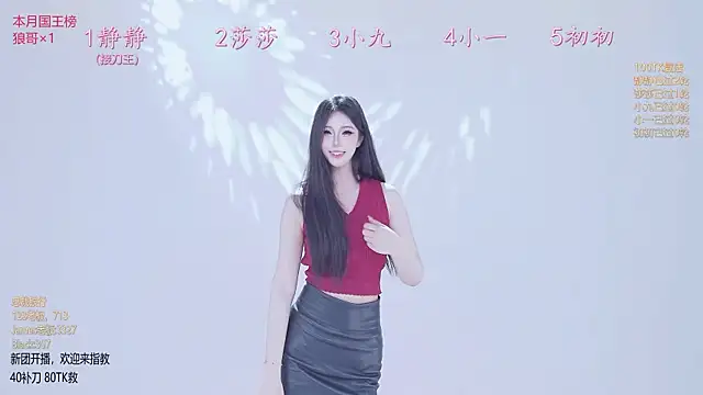 TY-002 webcam