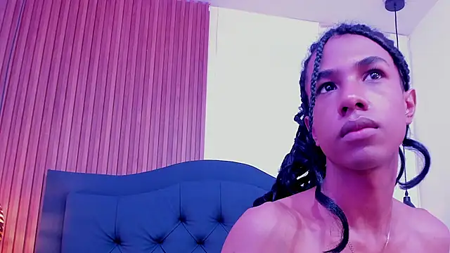 Johan_gz_ webcam