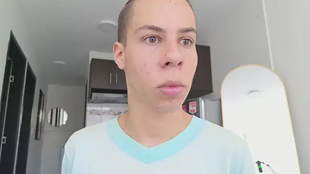 grey___27 webcam