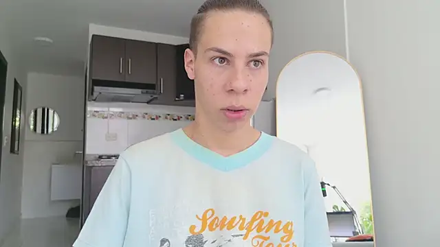 grey___27 webcam