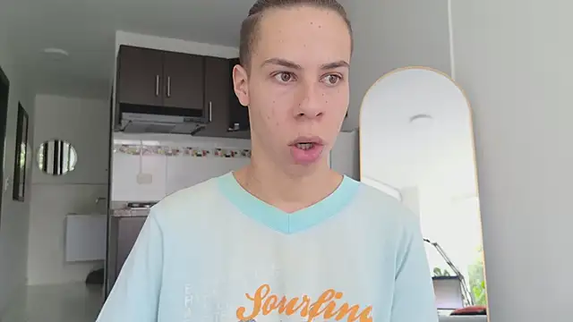 grey___27 webcam